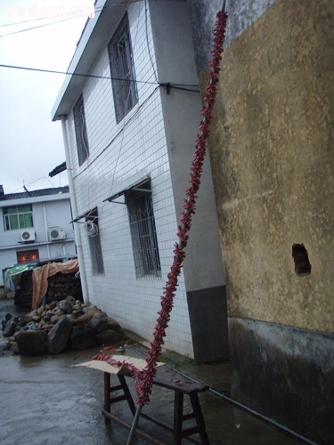 P2130256-1.jpg