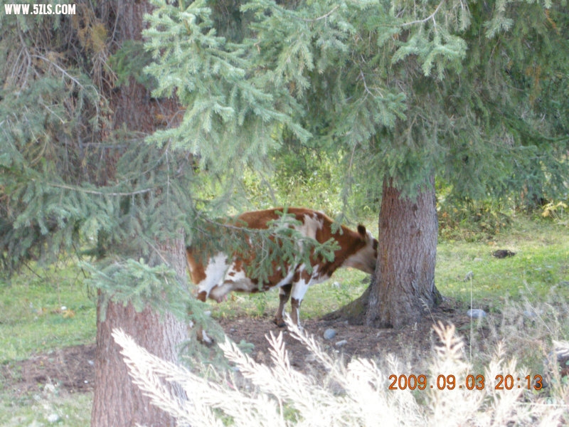 DSCN2105.JPG