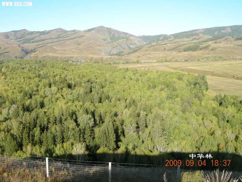 DSCN2348.JPG
