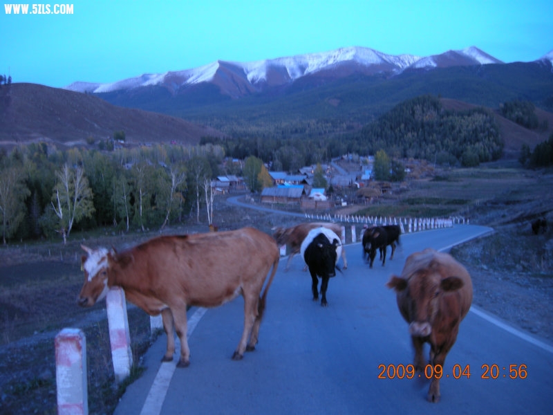 DSCN2392.JPG