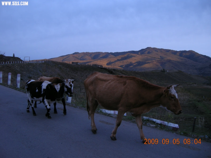 DSCN2397.JPG