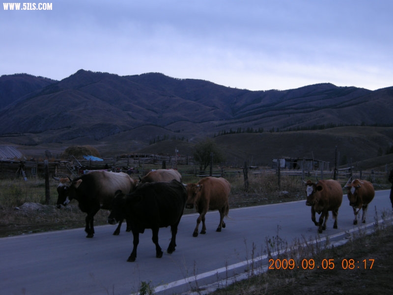 DSCN2402.JPG