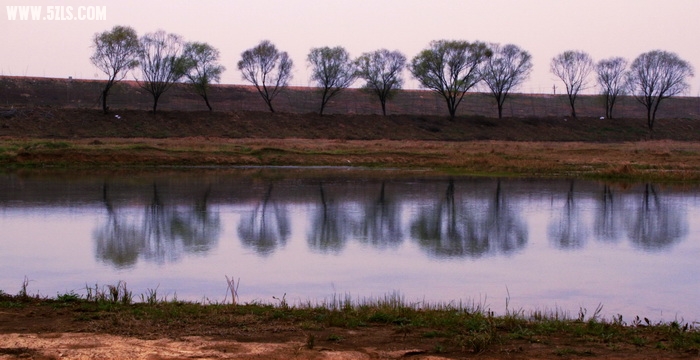IMG_0815_СС.JPG