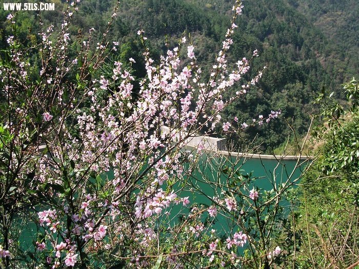 Ƭ 048.jpg