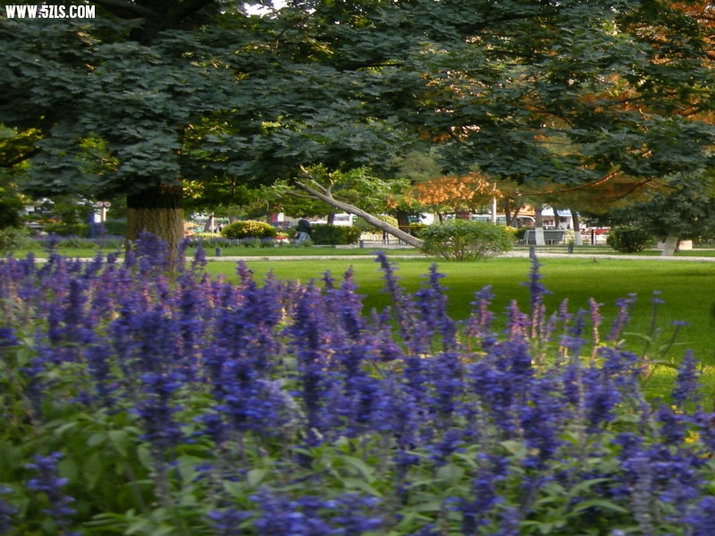 DSCN2703.JPG