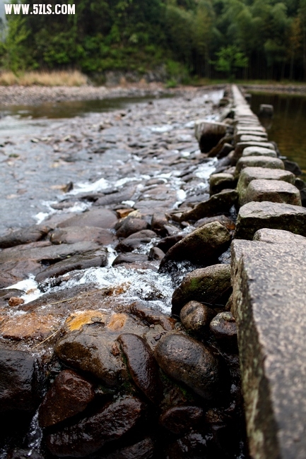 DPP_0013.JPG
