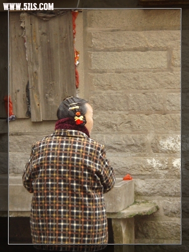 P2160017-1.jpg
