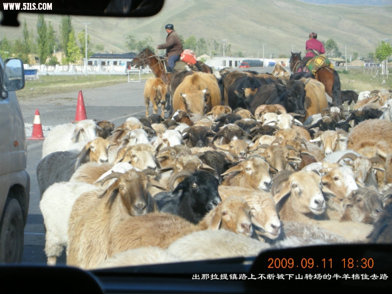 DSCN2837.JPG