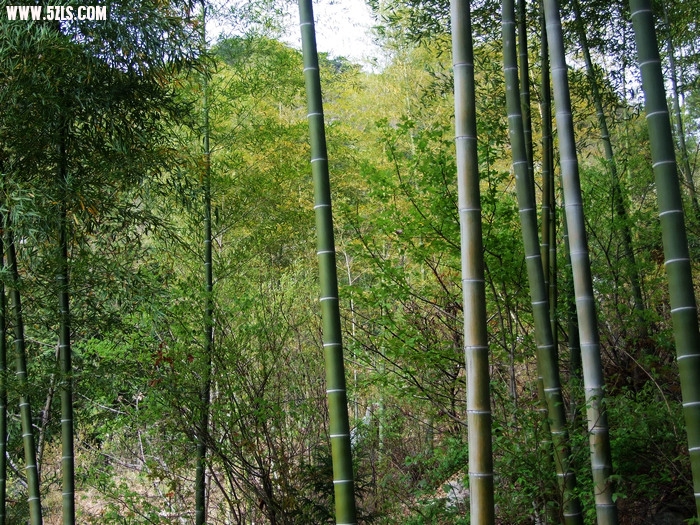 DSCF1314.jpg