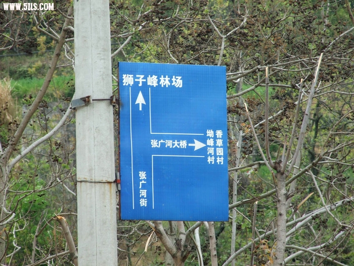 DSCF1378.jpg