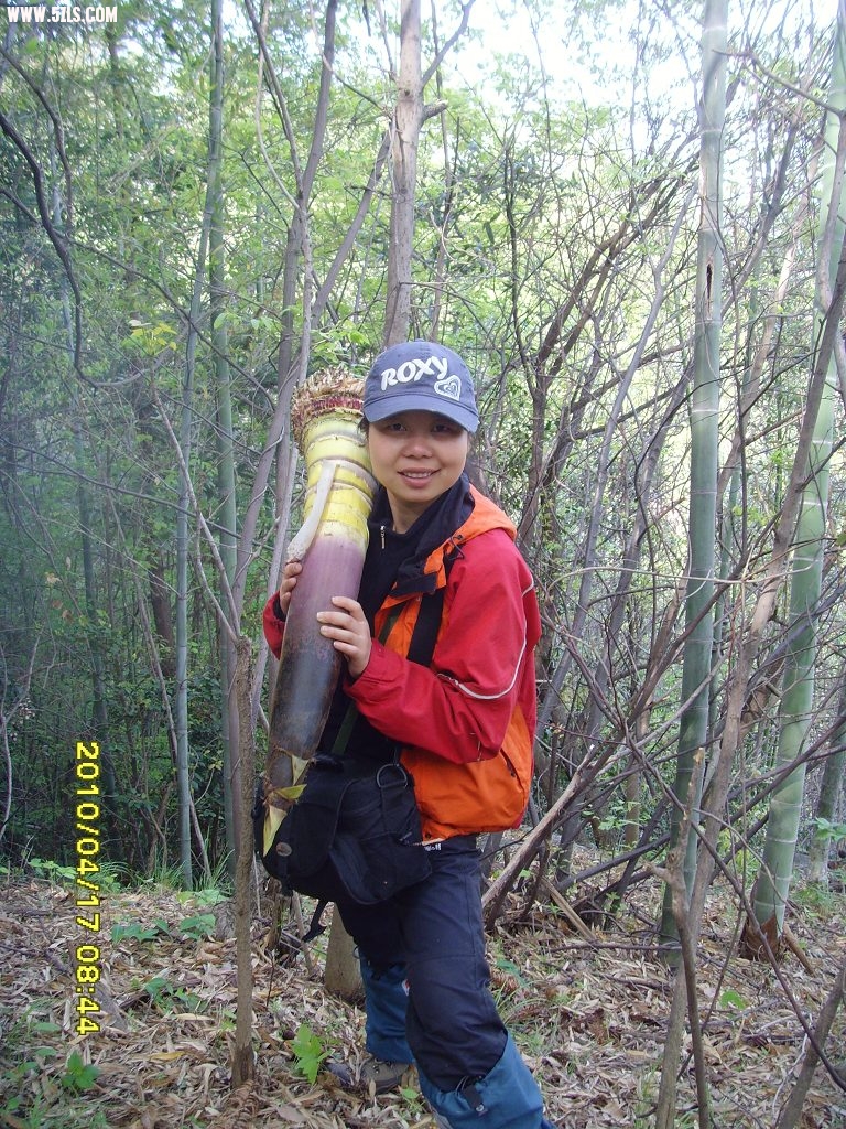 SNV30042.jpg
