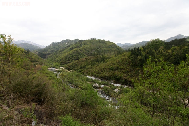 沿路景色