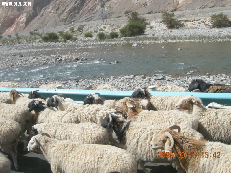DSCN3144.JPG