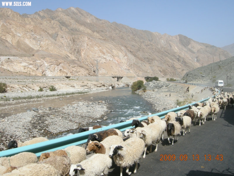 DSCN3149.JPG