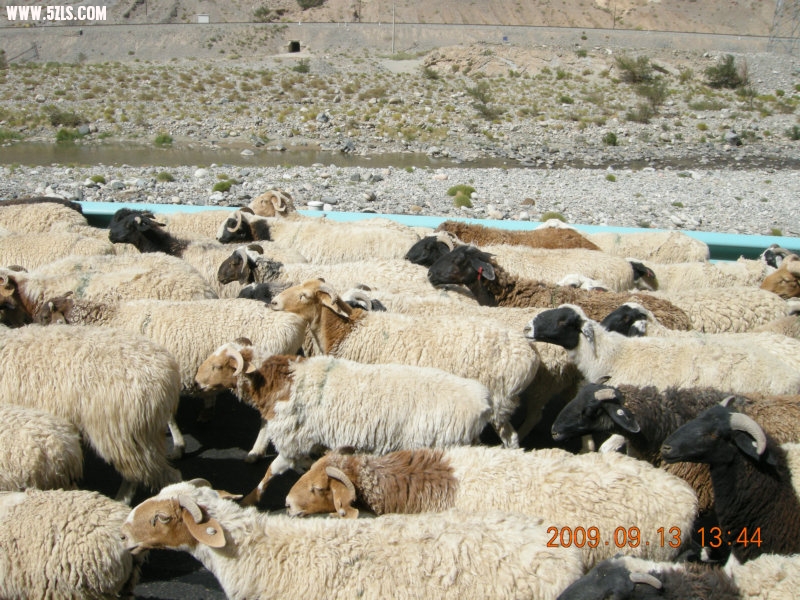 DSCN3153.JPG