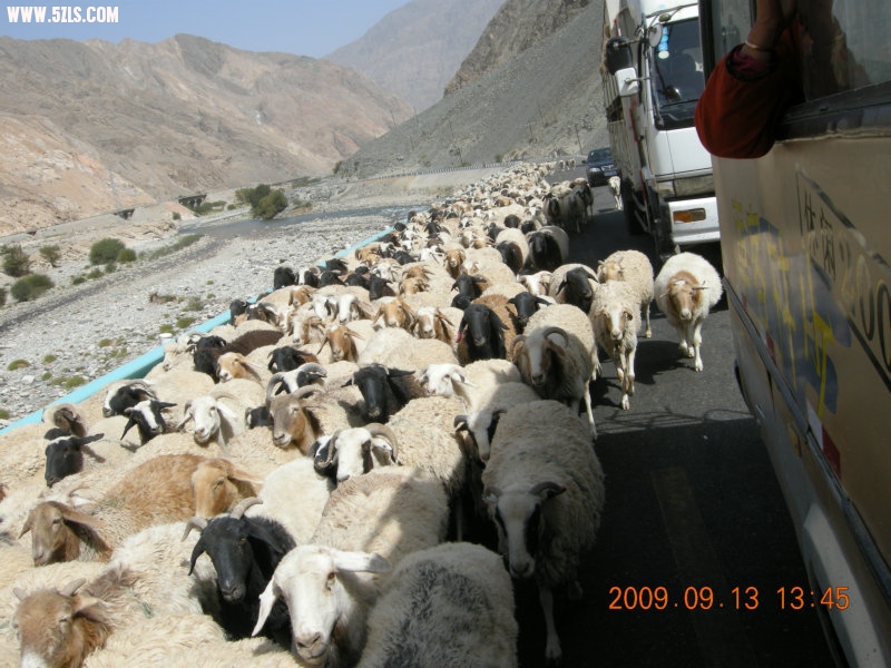 DSCN3157.JPG