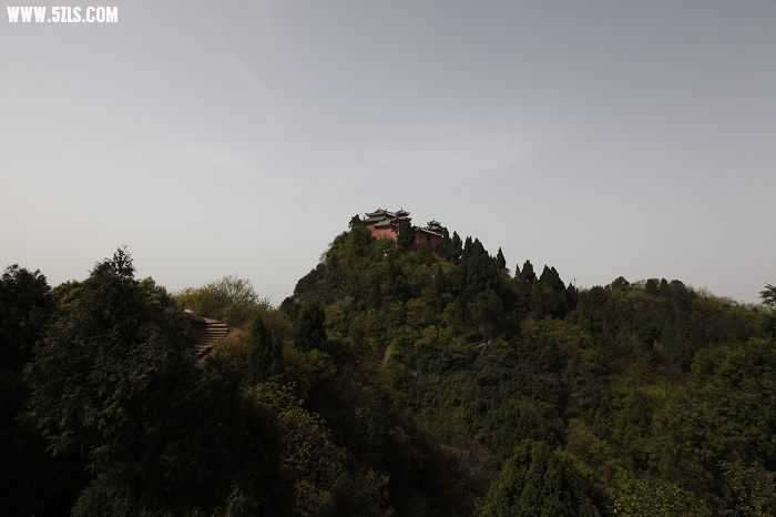 _MG_1295.jpg