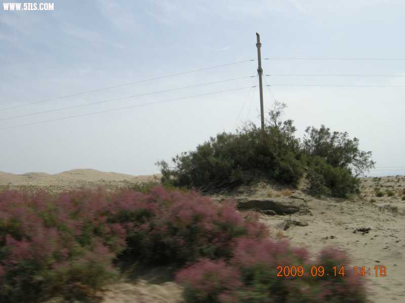 DSCN3235.JPG