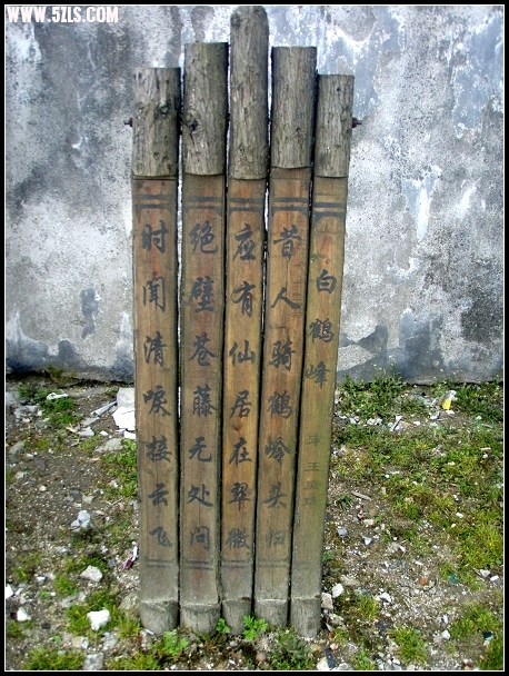 P5010043-1.jpg