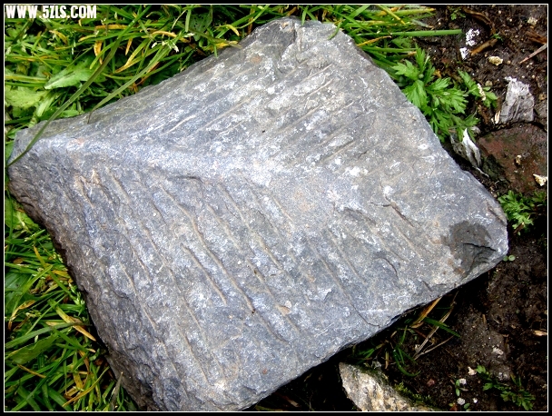 P5010071-1.jpg