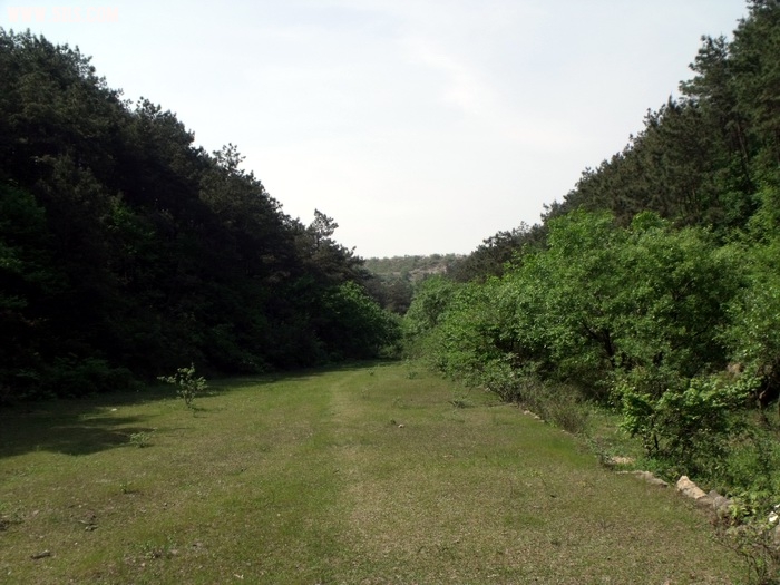 DSCF0162.JPG