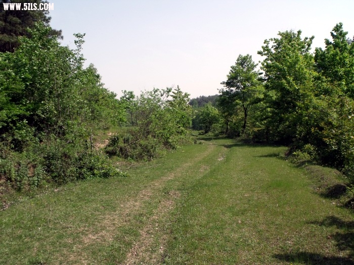 DSCF0164.JPG