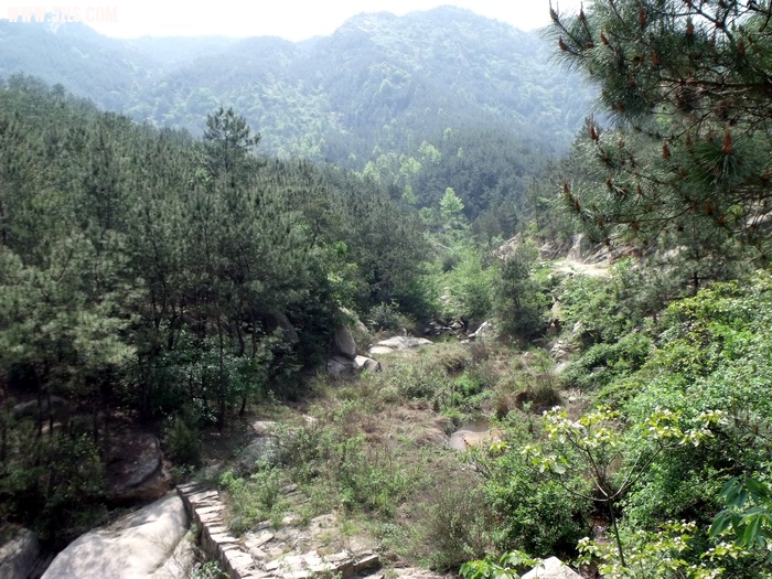 DSCF0177.JPG