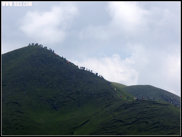 P5020099-1.jpg