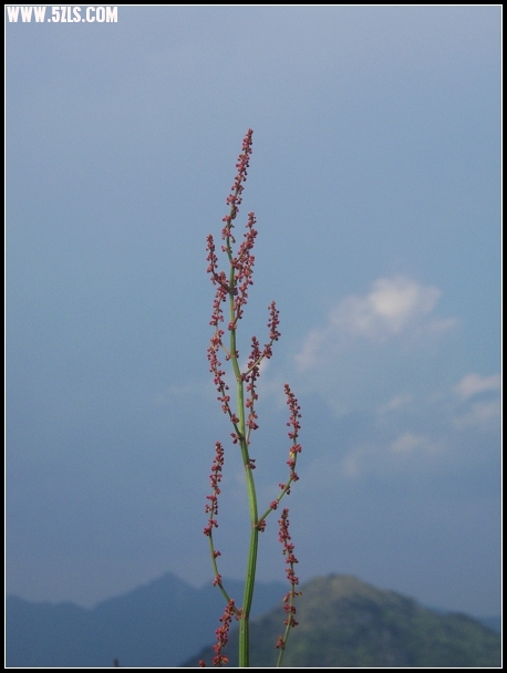 P5020124-1.jpg