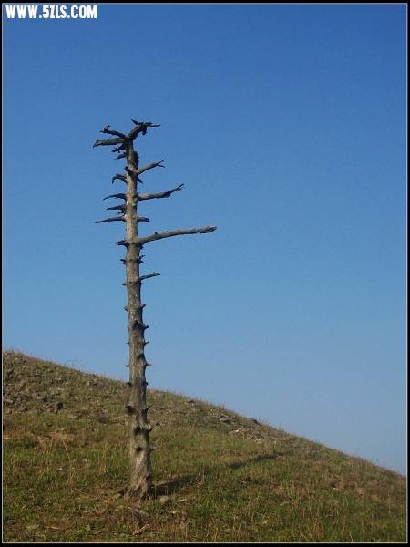 P5020133-1.jpg