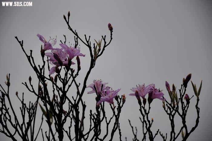 DSC_0940.jpg
