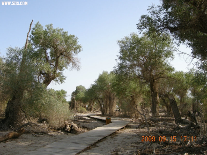 DSCN3347.JPG