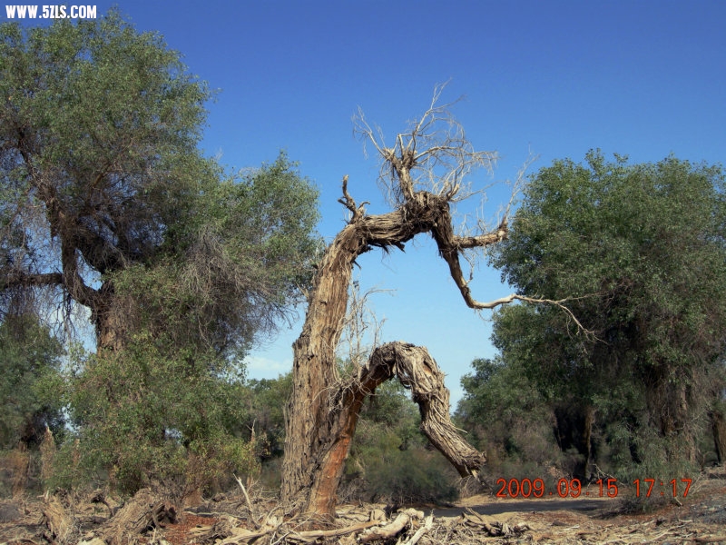 DSCN3352.JPG