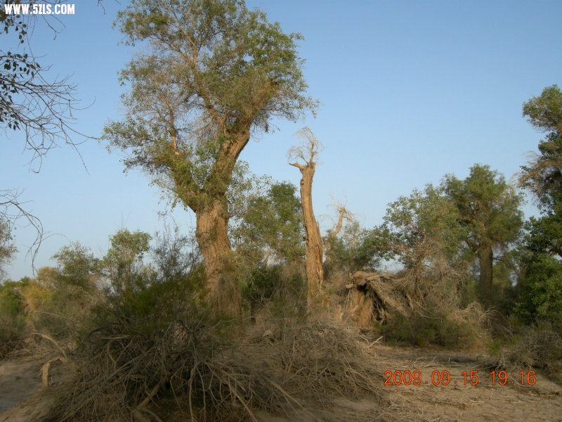DSCN3406.JPG
