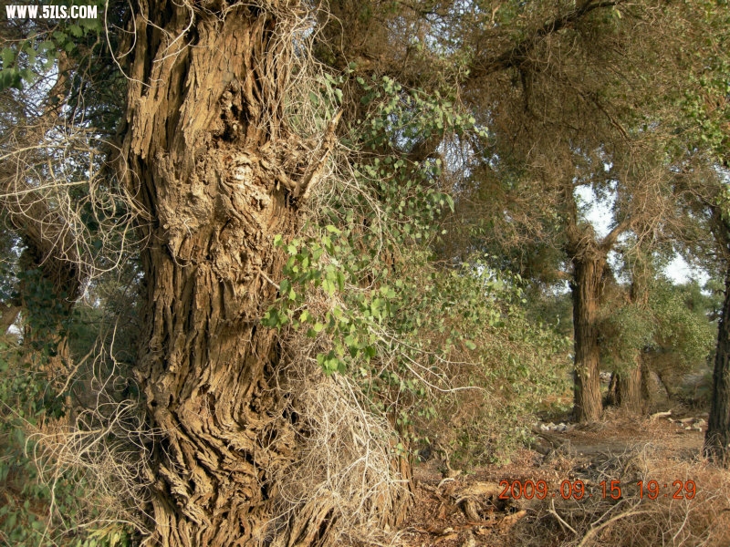DSCN3411.JPG