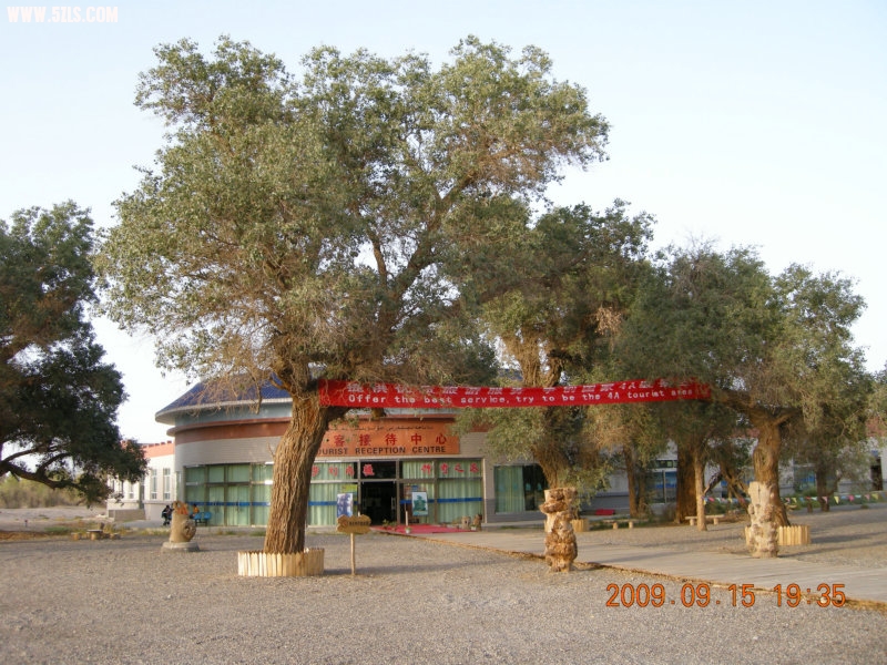 DSCN3413.JPG