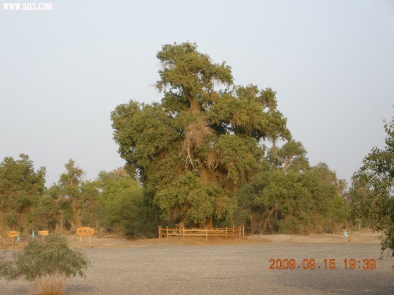 DSCN3414.JPG
