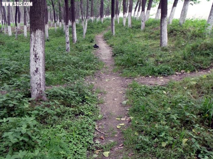 DSCF0209.JPG