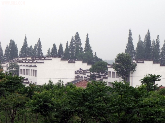 DSCF0255.JPG