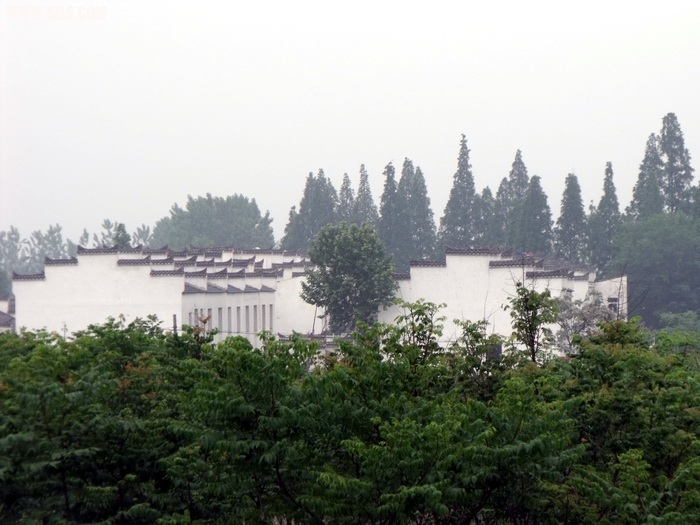 DSCF0254.JPG