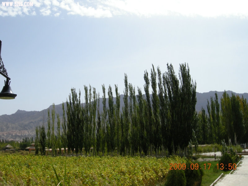 DSCN3595.JPG