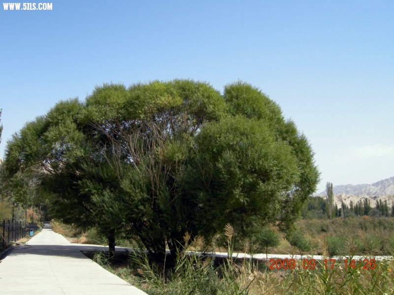 DSCN3602.JPG