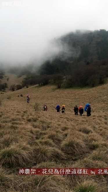 P1000487.jpg