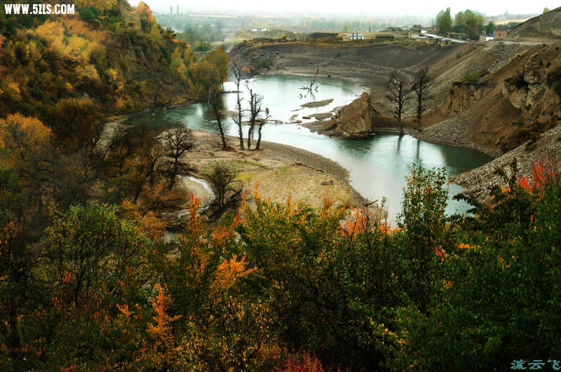 DSC_1810.jpg