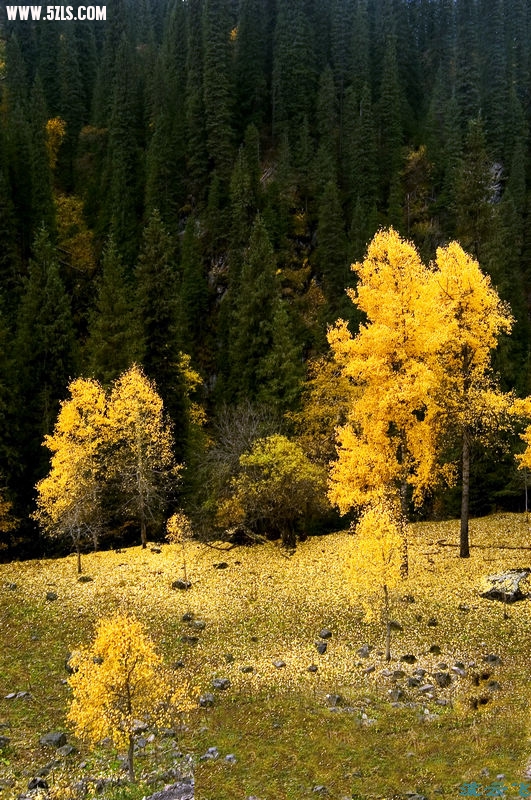 DSC_1892.jpg