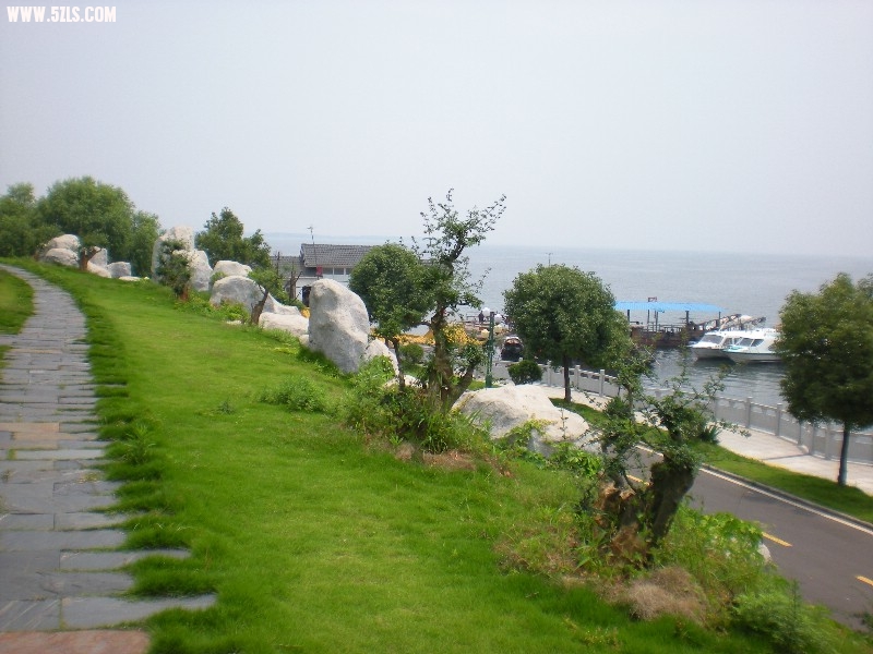 12.jpg