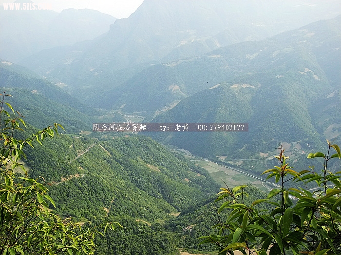 2010_06160410.JPG