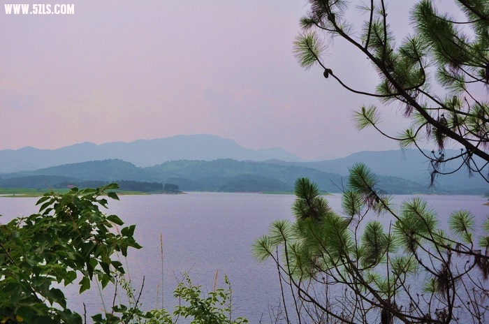 DSC_0001-1.jpg