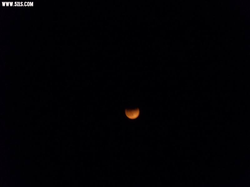 201062814415352468.jpg