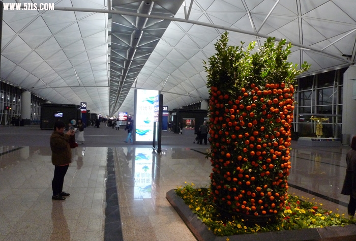 201031011355458942.jpg